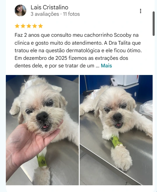 Avaliação real de tutor no Google