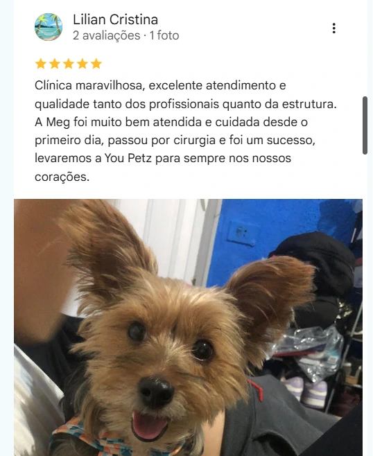 Avaliação real de tutor no Google