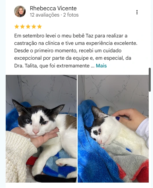 Avaliação real de tutor no Google