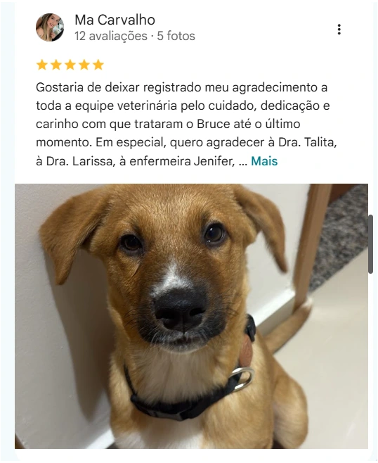 Avaliação real de tutor no Google