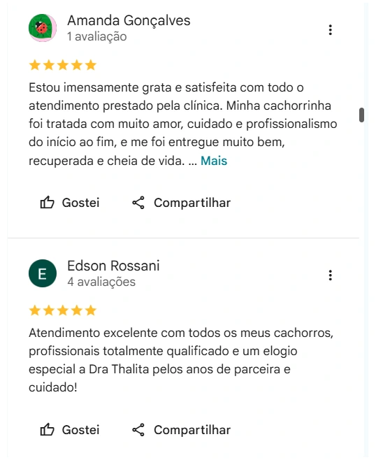 Avaliação real de tutor no Google